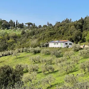 Poggio Ferrone Suvereto
